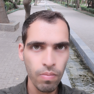 محمدعلی دودمان